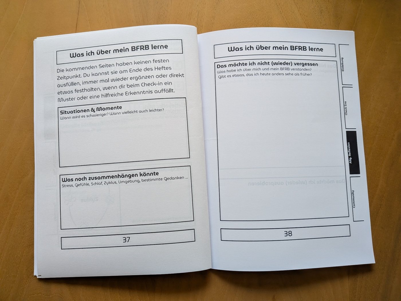 Reflexionsseiten des BFRB-Journals